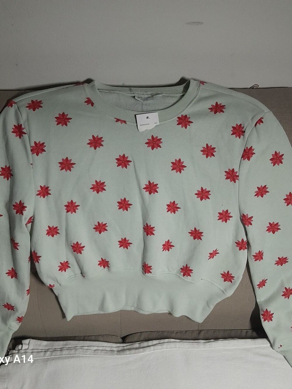 Mighty Fine Mint Green Pullover with Brown Trim